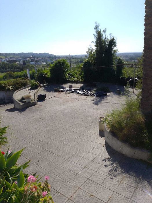 limpeza de terrenos e desmatação