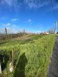 OPORTUNIDADE - Terreno com 1400 m/2 - Construção de 700/m2