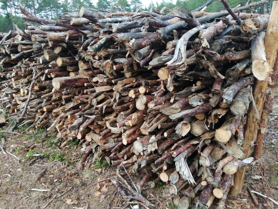 Drewno opałowe (ryski)