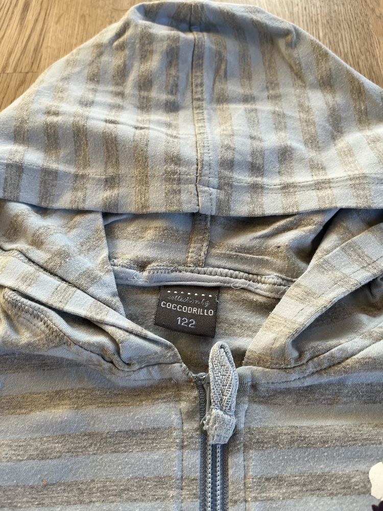 Bluza dresowa lekka Coccodrilo w paski - 122 cm