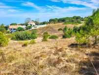 Lote de Terreno para Venda com PIP Aprovado - Azeitão