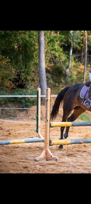 Przeszkody dla koni cavaletti