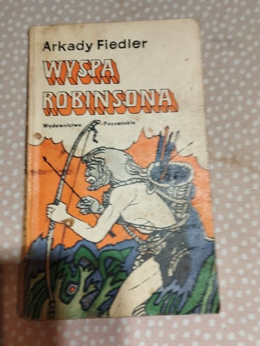 Wyspa Robinsona '