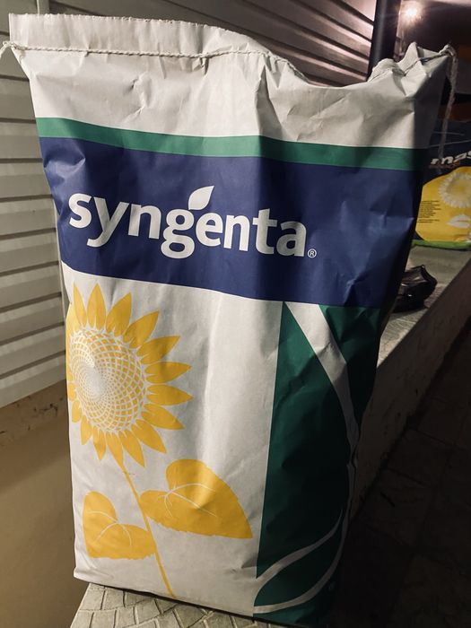 Продам Арко насіння соняшника ОРИГІНАЛ!!!