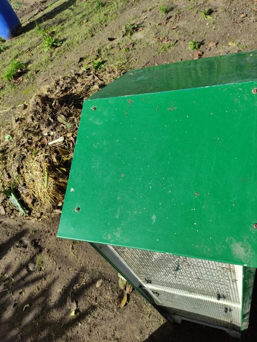 Gaiola para pássaros