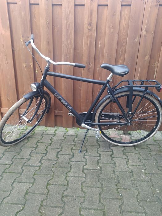 Rower męski Cortina