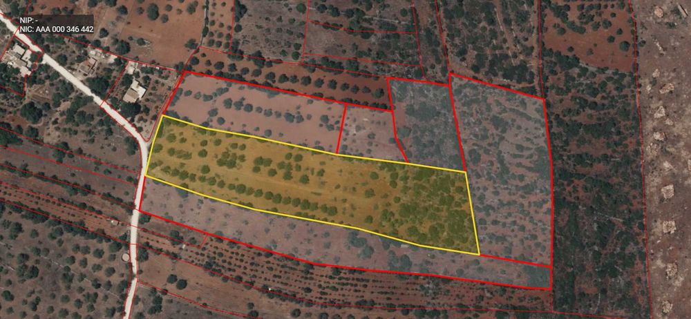 Terreno rústico para arrendar - Loulé - com eletricidade e bom acesso