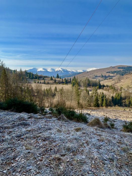Земельна дідянка в селі Нижній Студенний