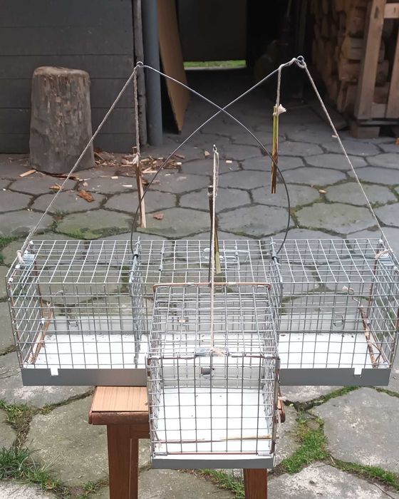 Klatka do odłowu ptaków hodowlanych