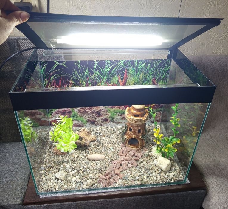 Аквариумы 40 л.со всем необходим