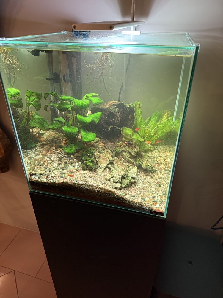 Aquario de agua quente com movel