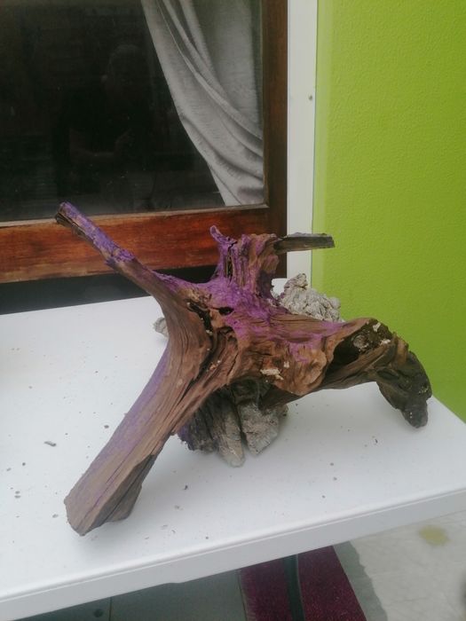 Troncos para o aquário