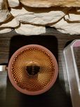 Foreo ufo mini pink