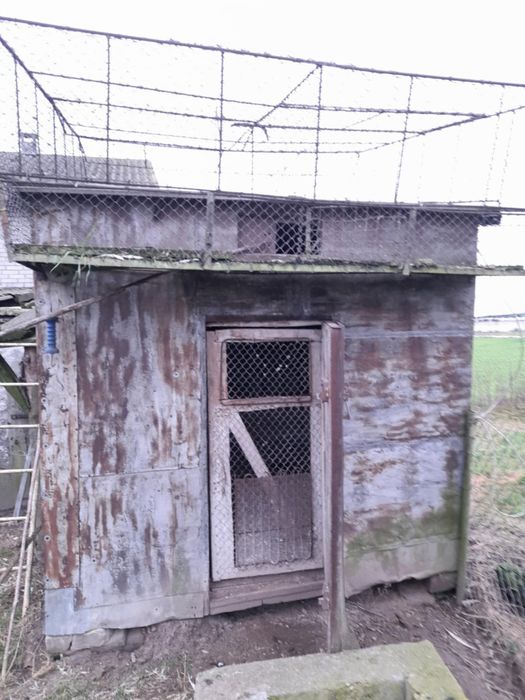 Gołębnik na sprzedaż