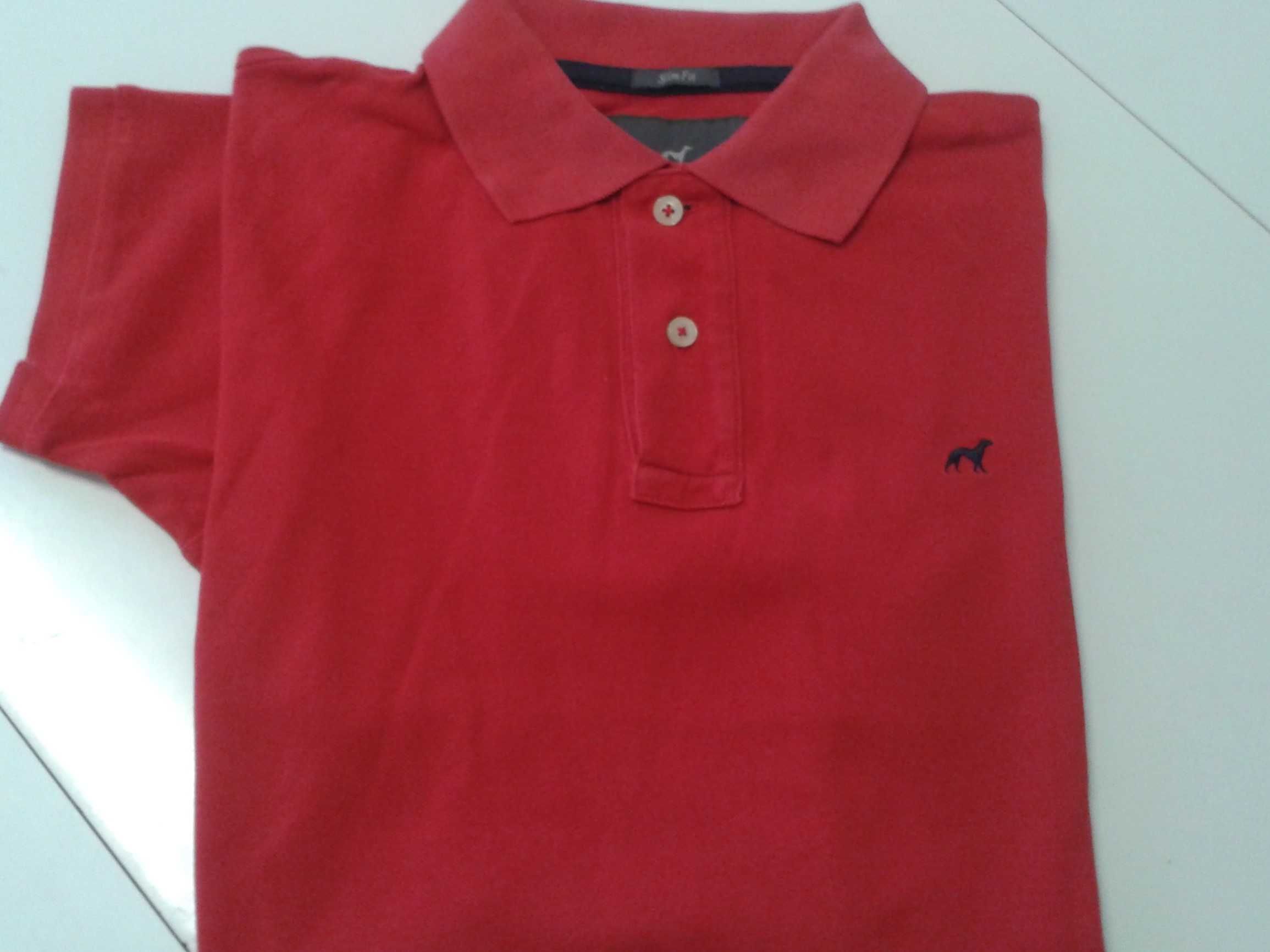 CAMISOLAS  Polo shirts Sacoor e Nike , p/jovens + Oferta