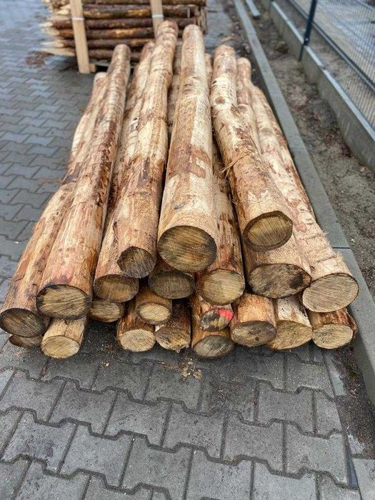 GRUBE SŁUPKI ogrodzeniowe DĘBOWE okorowane 2,5m fi10-17cm dąb PALIKI