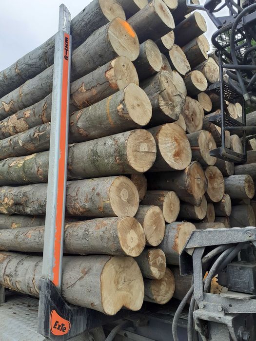 Drewno opalowe BUK Brzoza Grab Jesion Akacja.