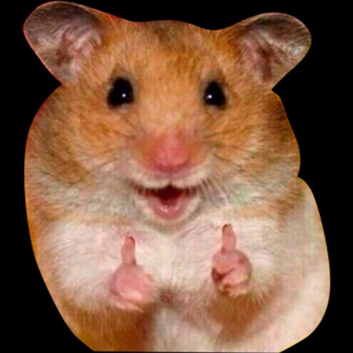 Муж на час. Домашний мастер