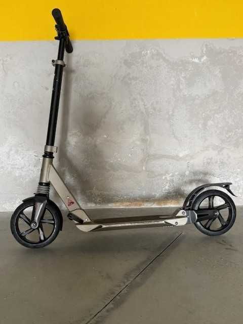 Trotinete Adulto