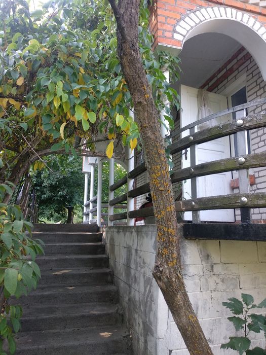 Будинок з земельною ділянкою 7 соток