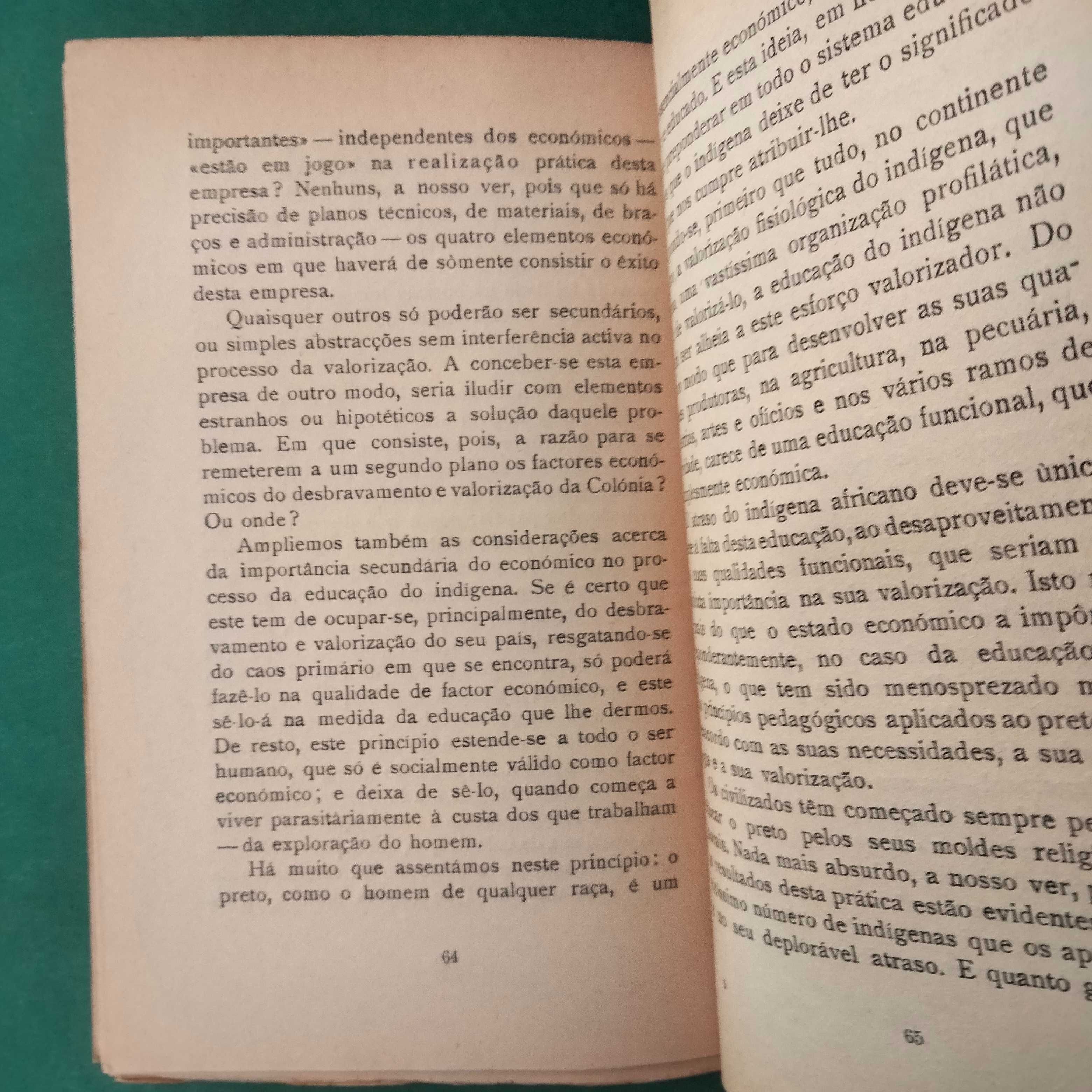 Problemas Coloniais - João Fernandes