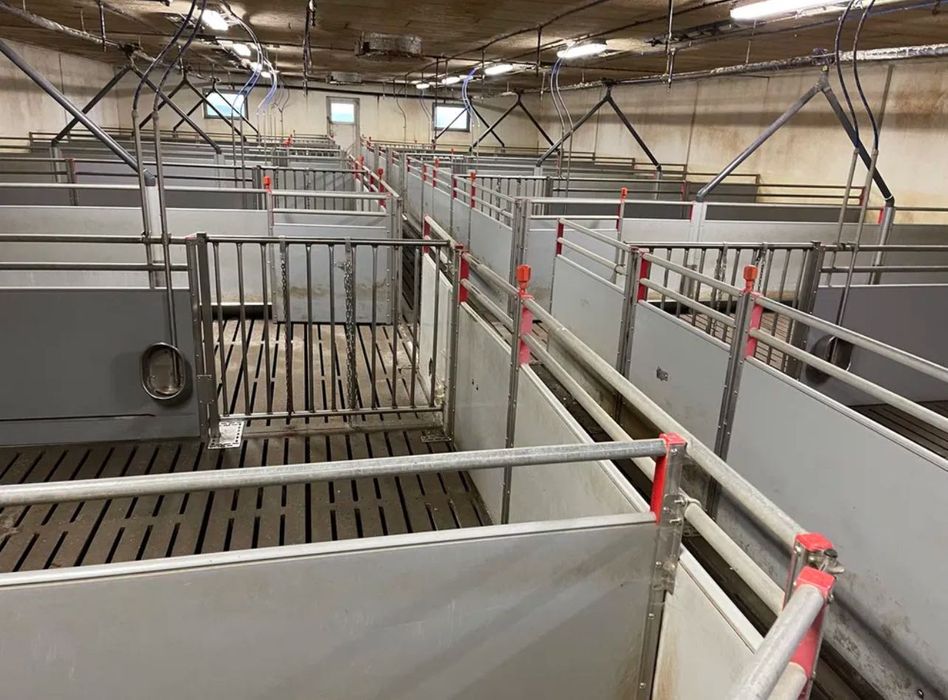 Огорожа свиноферми нержавійка , оцинковка з Данії