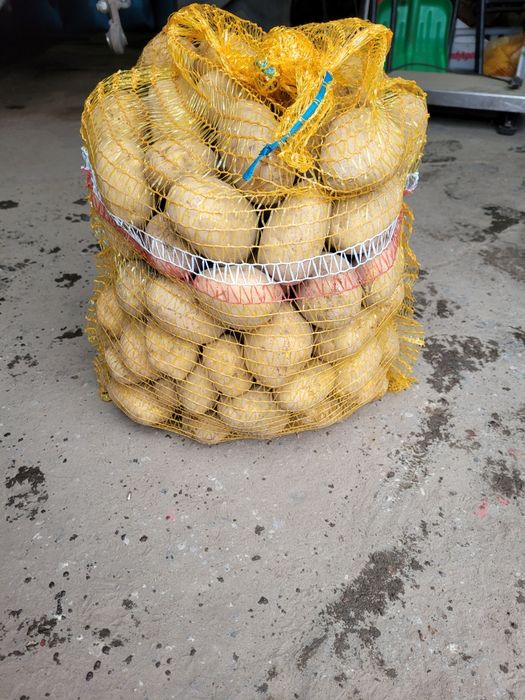 Ziemniaki jadalne Lord