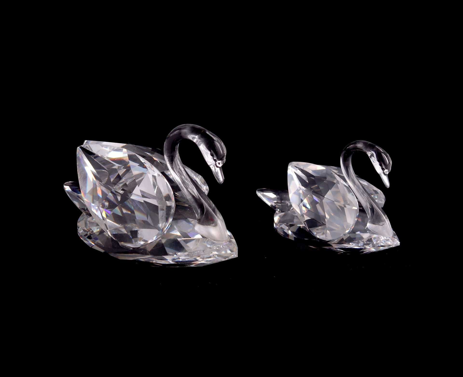 Cisnes em cristal