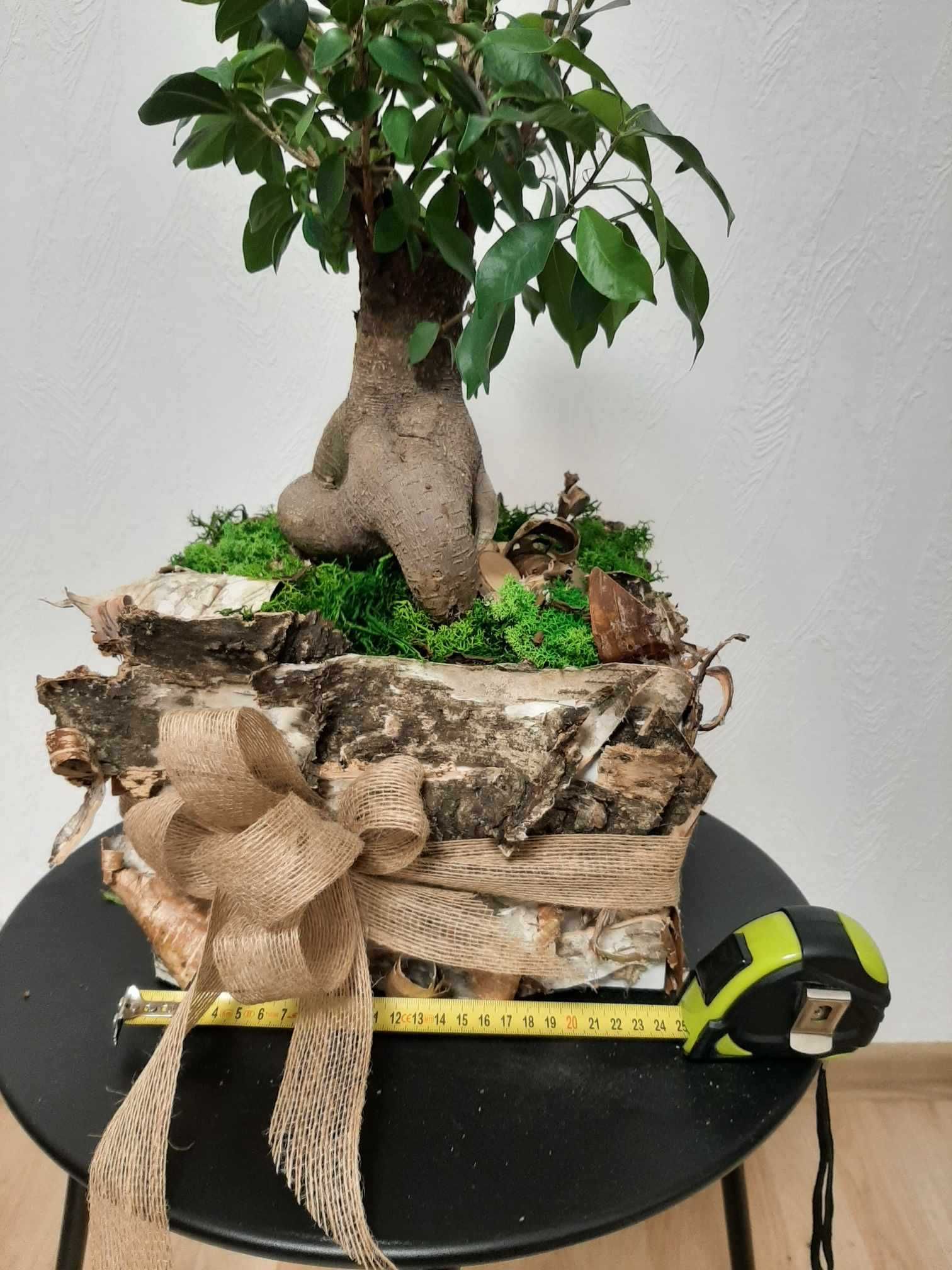 Sprzedam duży kwiat bonsai (drzewko ozdobne)