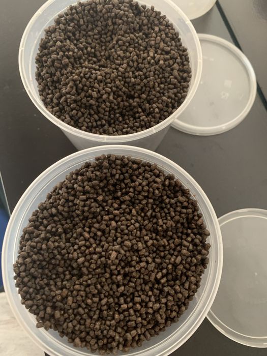 Ração de fundo para peixes  por kilo