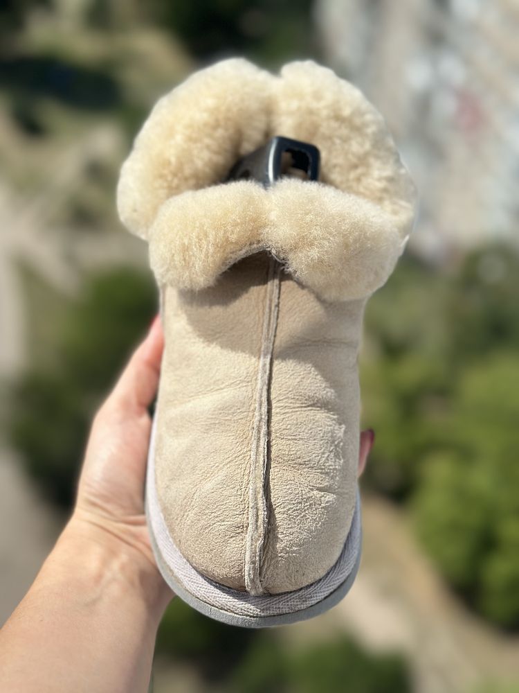 shepherd slippers ugg угги р36