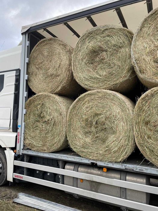 siano okrągłe bele, duża kostka oraz mała kostka TRANSPORT CAŁA POLSKA