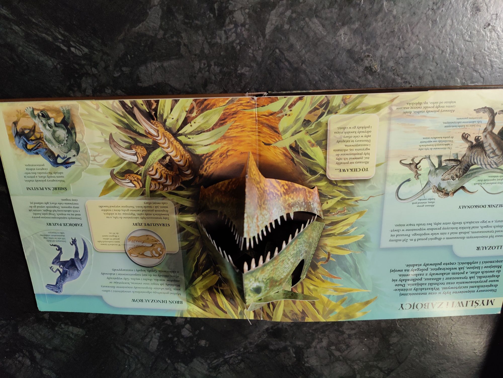 Ruch Modele 3D aktywna nauka dinozaury