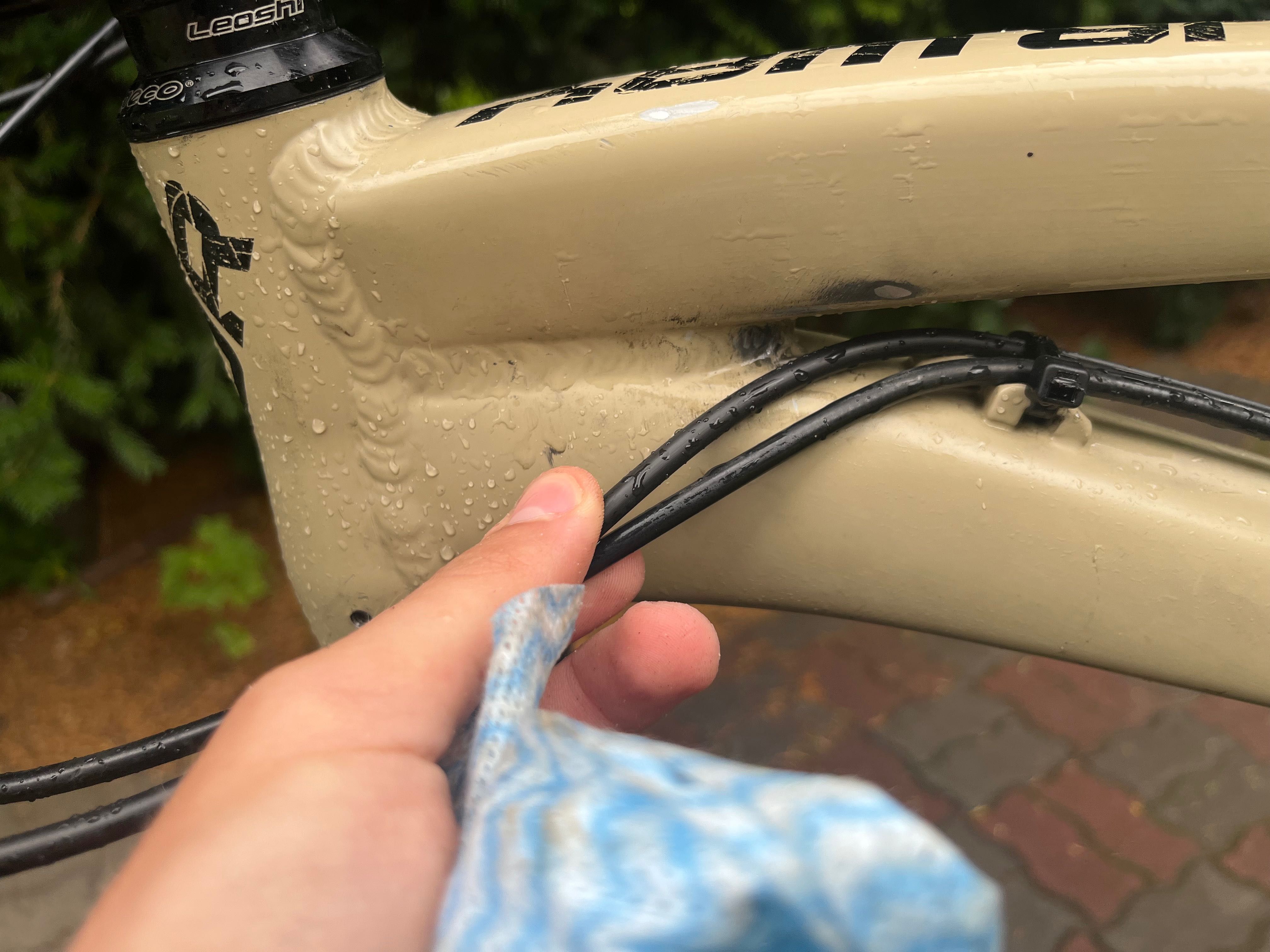 Rama full Dartmoor Bluebird Pro M