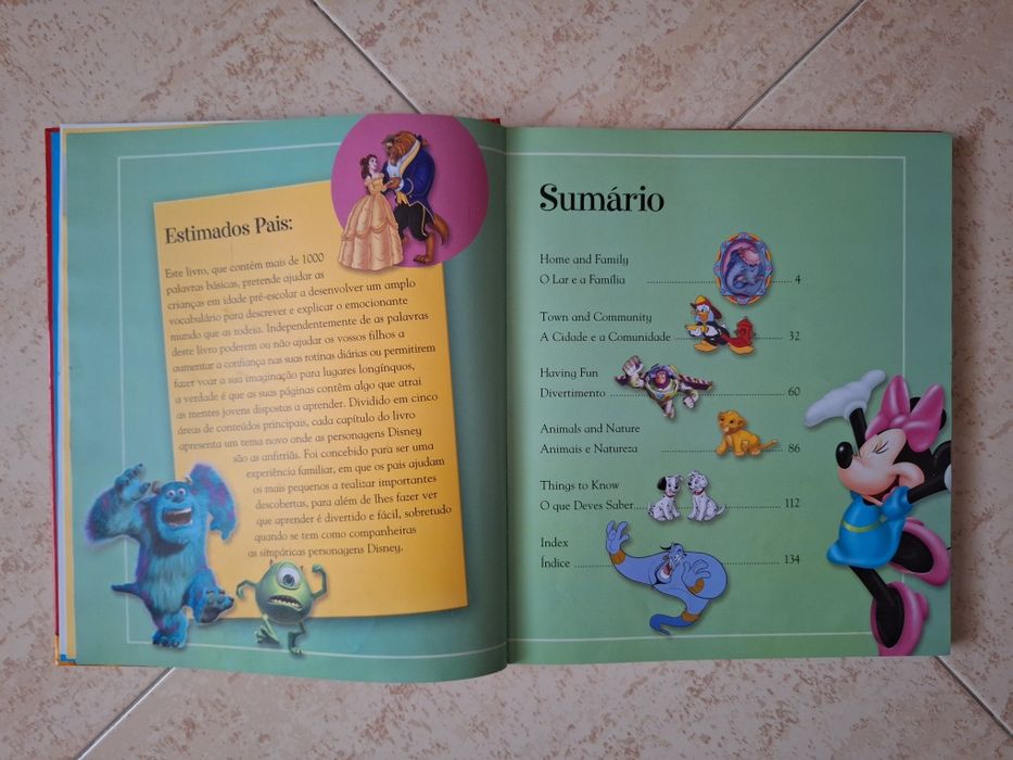 Dicionário Inglês DISNEY NOVO