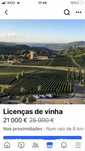 Licenças de plantio de vinha