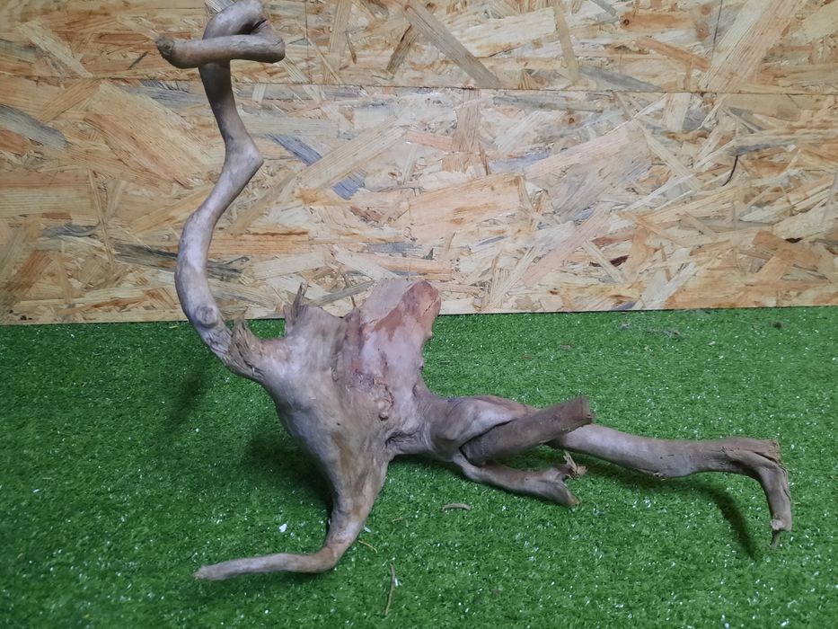 Korzeń do akwarium Red Moore Wood nr 875 o wymiarach 36/30/30