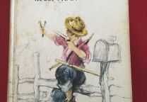 Coleção 5 títulos de literatura juvenil