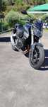 Honda Hornet