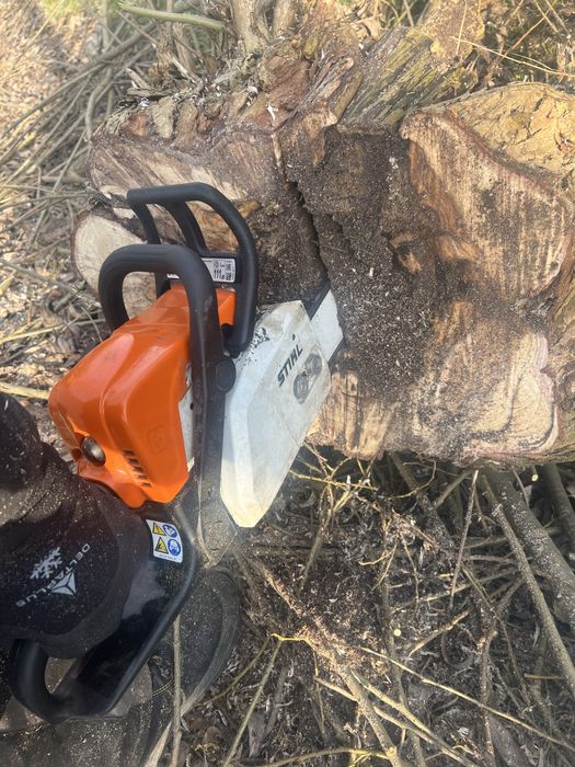 Чистка  ділянки косіння трави  зрізання дерев вивіз сміття