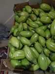 Pimenta várias variedades