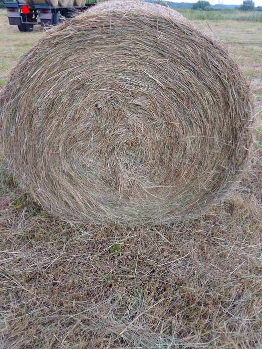 Sprzedam lub zamienię Sianokiszonka i siano