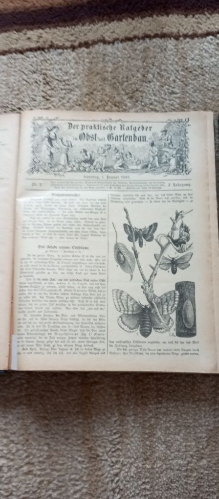 Der praktische ratgeber im obst und gartenbau 1887 i 1888