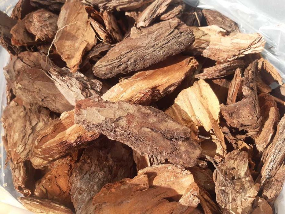 kora sosnowa gruba sortowana Mosina wyprzedaż