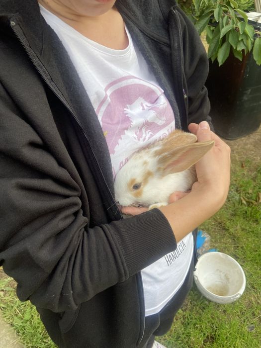 Apartament, agroturystyka , Kotlina Kłodzka , Góry Stołowe , noclegi