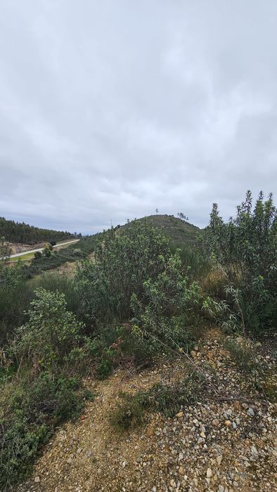 Terreno em Mação