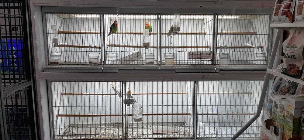 Bateria para aves , Gaiolas