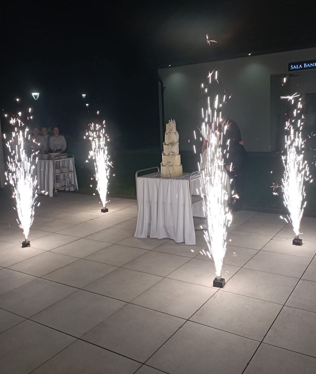 DJ , Wodzirej na wesele i imprezy okolicznościowe w dobrej cenie.
