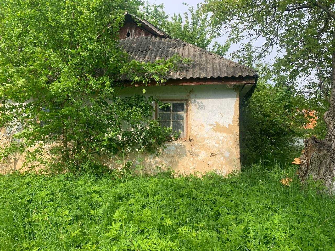 земельна ділянка поруч з лісом