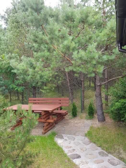 Wynajmę domek w Borach Tucholskich